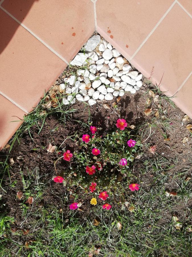 Ferienwohnung Oasiglo La Maddalena  Exterior foto